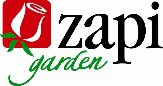 Zapi