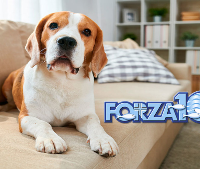 copertina-forza10