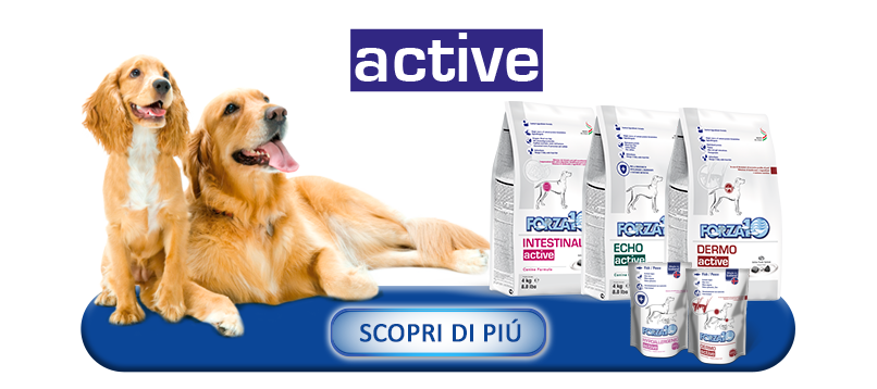 PULSANTE-Active_cane_IT