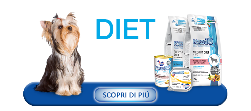 Pulsante-DIET_cane